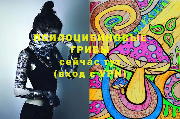 кокс Аркадак