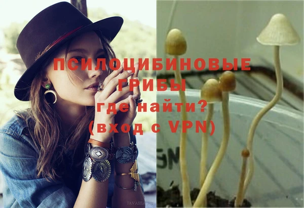кокс Аркадак