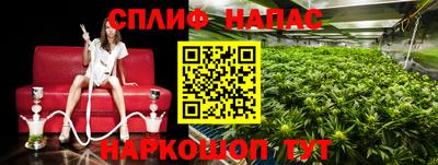 ешки Кинель