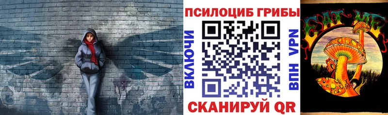 Псилоцибиновые грибы Psilocybe  где купить   Киреевск 