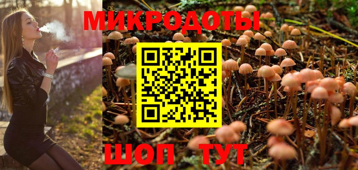 Псилоцибиновые грибы мицелий Киреевск