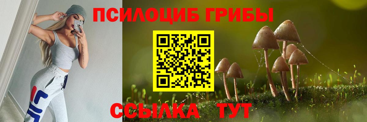 дарнет шоп  Галлюциногенные грибы Psilocybine cubensis  Вход с VPN  Киреевск  Псилоцибиновые грибы Psilocybine cubensis 