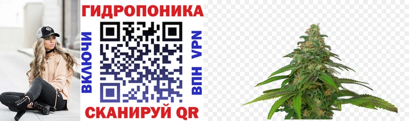 нарко площадка как зайти  цена   Киреевск  МАРИХУАНА сатива 